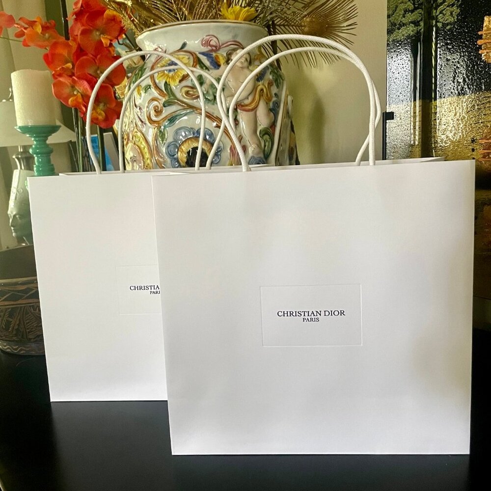 2 Christian Dior Shopping Bags  Medium 12" x 12" Cute Rope Handles